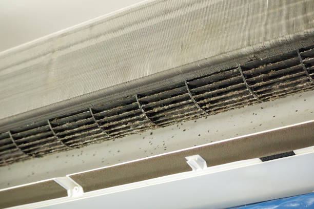 Best Professional Duct Cleaning Services  in Hollymead, VA